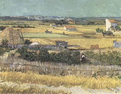 Vincent Van Gogh Harvest at La Crau,with Montmajour in the Background (Blue Cart) (mk09)